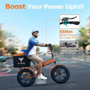 ENGWE EP 2 PRO para reparto