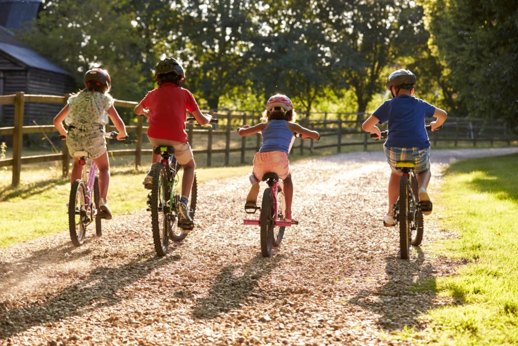 Tipos de bicicletas eléctricas para niños como mejor opción para la primera compra 1 Tipos de bicicletas eléctricas para niños